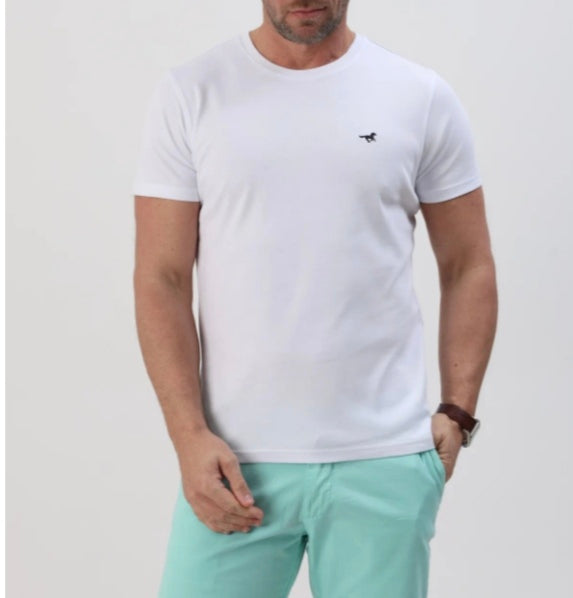 T shirt homme STIL PARK col rond